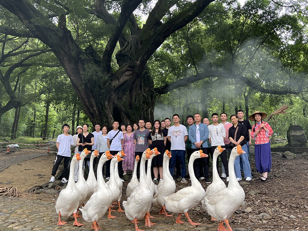 2023年(nián)職工療休養活動之二 | 福建霞浦三日遊(圖3) 2023年(nián)職工療休養活動之二 | 福建霞浦三日遊(圖3)